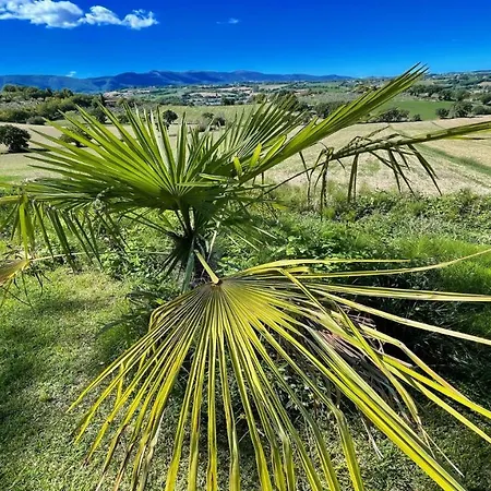 Jacuzzi And Infinity Pool Nestle In Wondrous Gardens That Surround 6 Aptsaircon * Colle Umberto (Umbria)