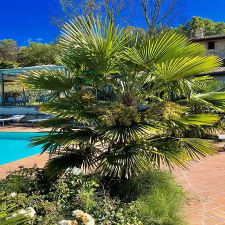 Jacuzzi And Infinity Pool Nestle In Wondrous Gardens That Surround 6 Aptsaircon